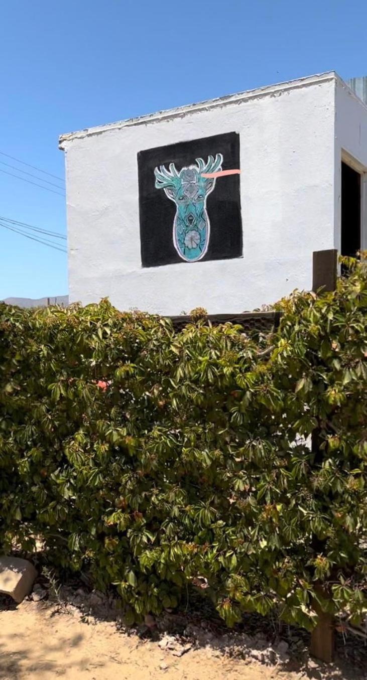 Heart Of Ruta Del Vino, Cozy Casitas Pan Y Vino! Hotel Valle de Guadalupe Kültér fotó